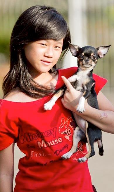 10 Perjanjian Sebelum Memelihara Anjing