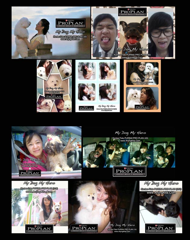 Pemenang Kontes Foto PURINA PROPLAN