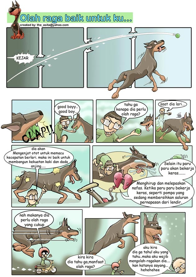 Mengapa Anjing Perlu Olahraga