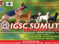 IGSC SUMUT Dog Show II