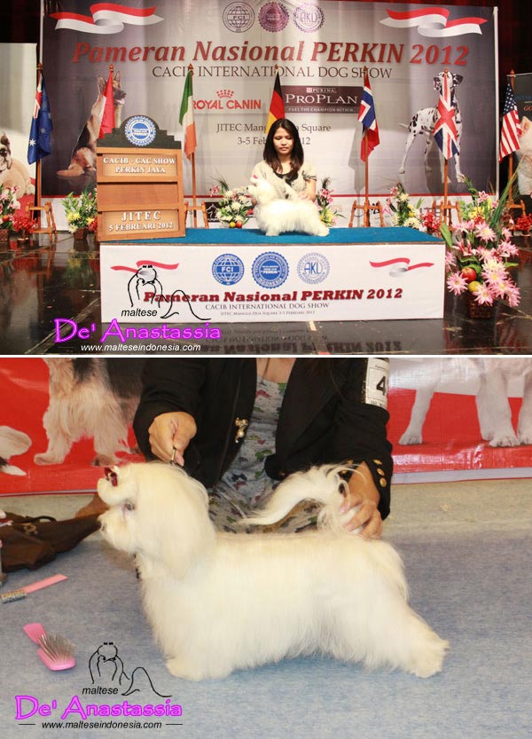 Oxana Champion My Imagination