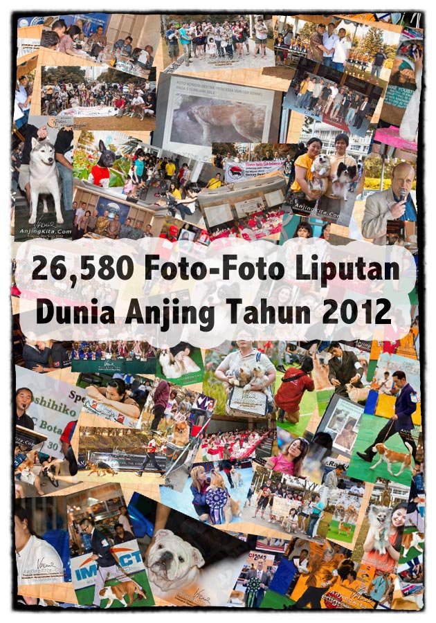 26,580 Foto-Foto Dunia Anjing 2012