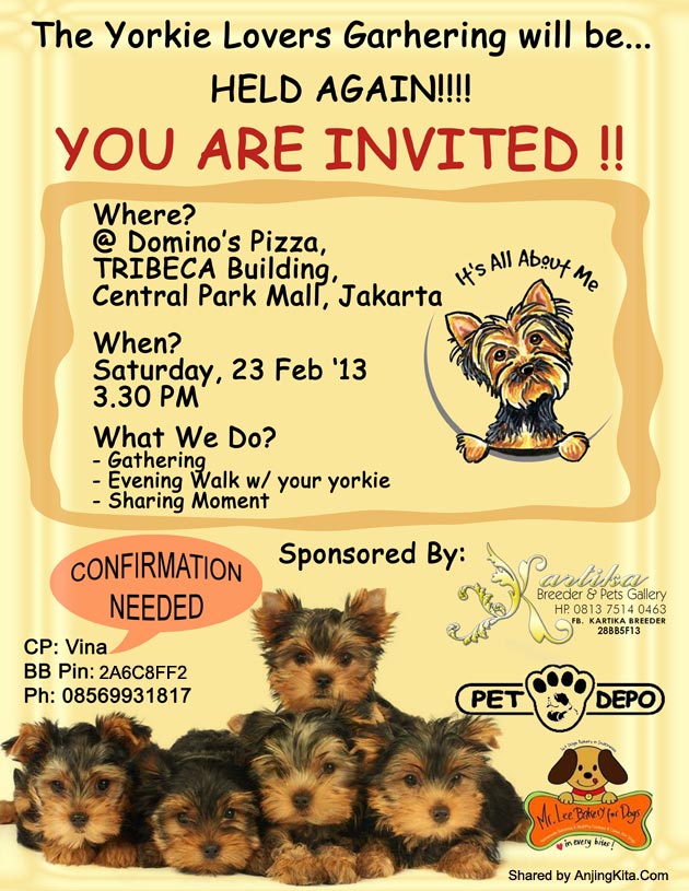 Yorkie Lovers Gathering