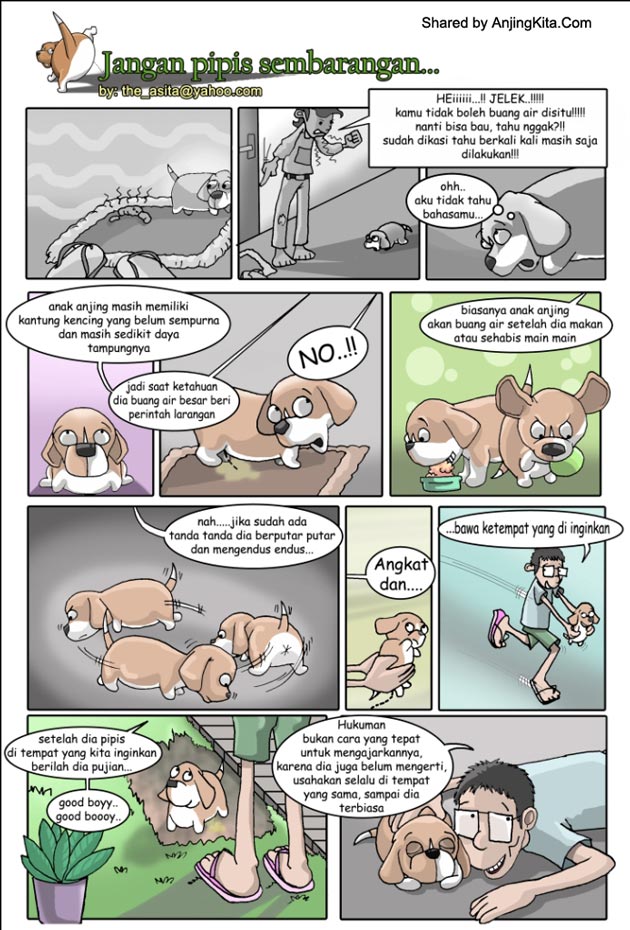 Melatih Anjing Pipis Pada Tempatnya