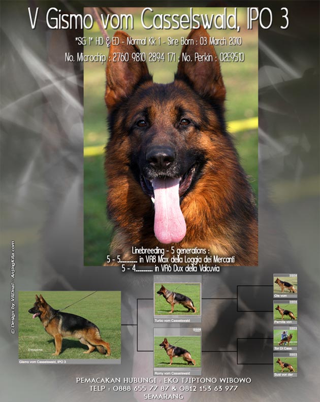 V Gismo vom Casselswald