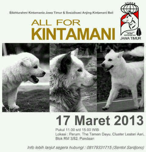 All For Kintamani