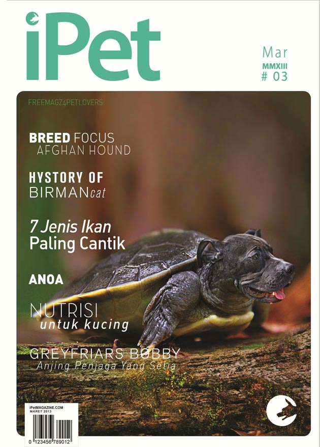 Indeks edisi 3 iPet Magazine