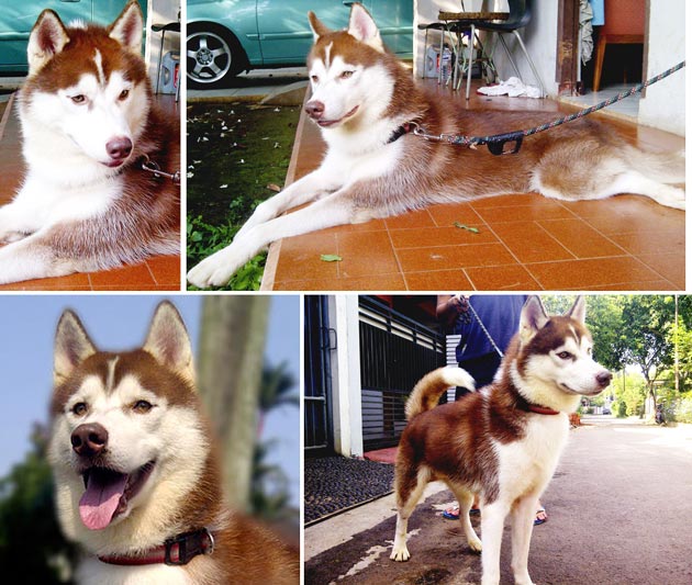 C. Yordan Von Caramari