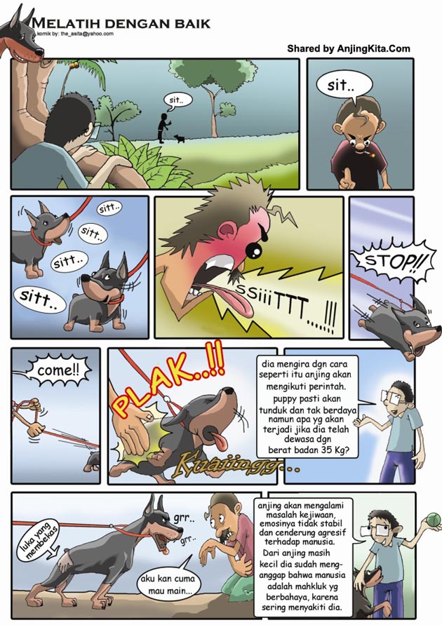 Melatih Anjing Dengan Baik