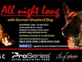 All Night Long With German Shepherd Dog