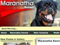 Perubahan Domain Website Maranatha Kennel