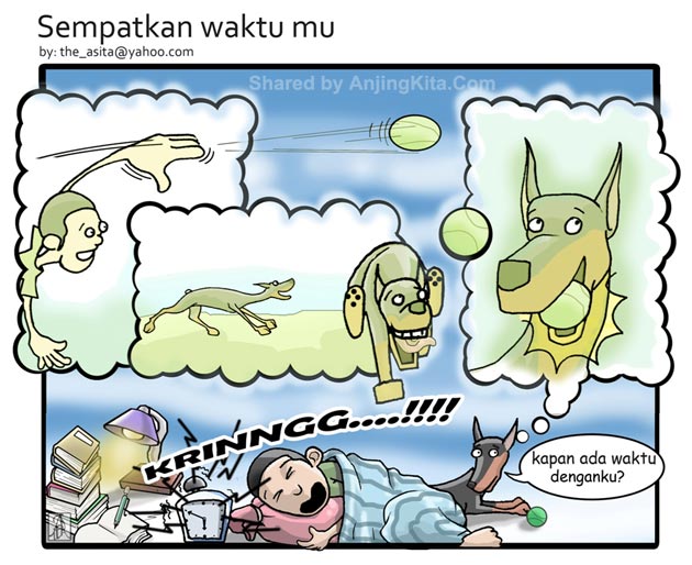 Luangkan Waktu Untuk Anjing