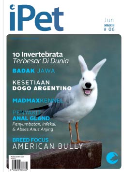 iPet Magazine Edisi 6 #Juni 2013