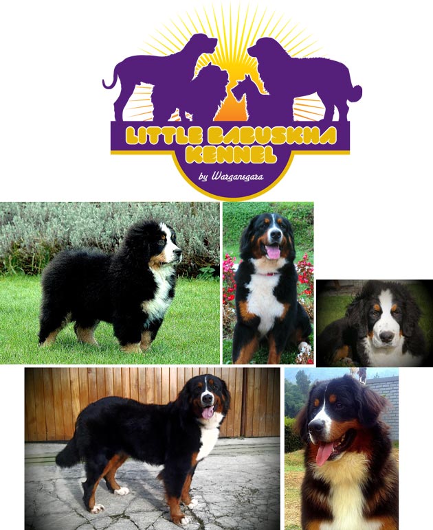 Little Babuskha Kennel (BMD)