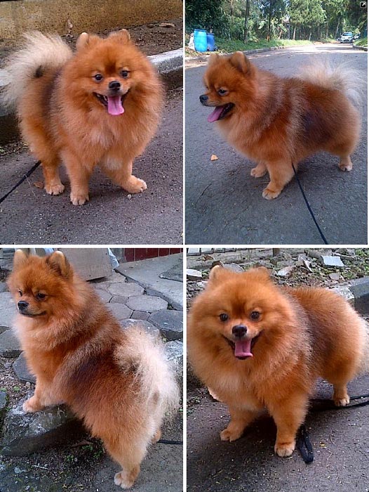 Everything About The Sun 