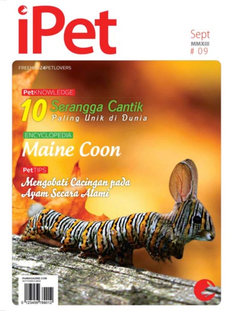Indeks edisi 9 iPet Magazine
