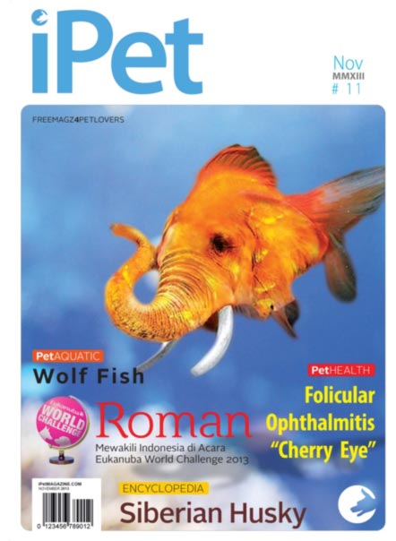 Indeks edisi 11 iPet Magazine