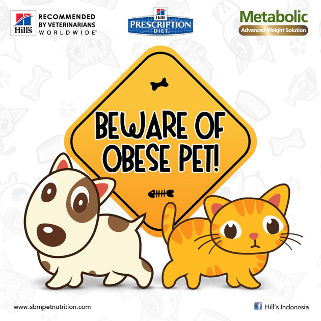 Beware Of Obese Pet!