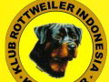 Pameran Anjing Rottweiler Jawa Barat