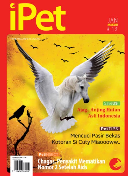 iPet Magazine Indeks Edisi 13 