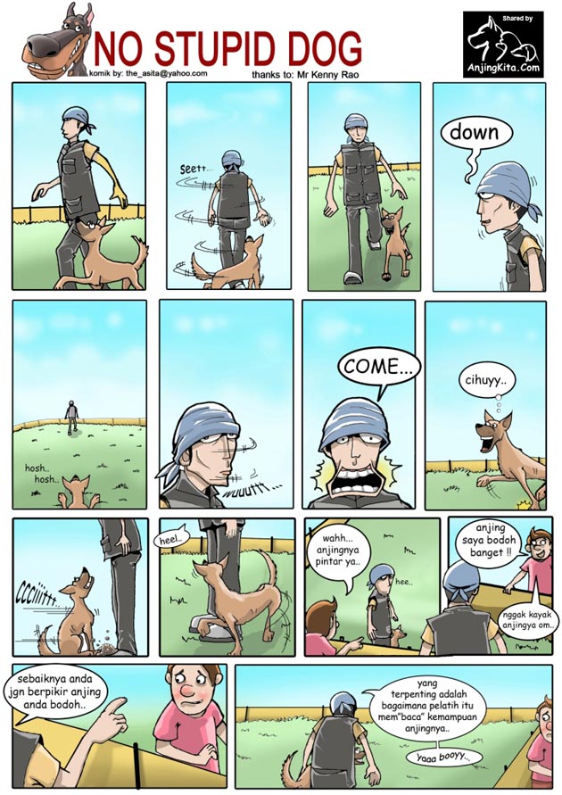 Anjing Yang Bodoh