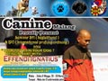 How To Train Your Dog With Canine Malang