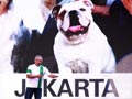 Cesar Milan : Sikap Anda Tercermin Pada Anjing Anda