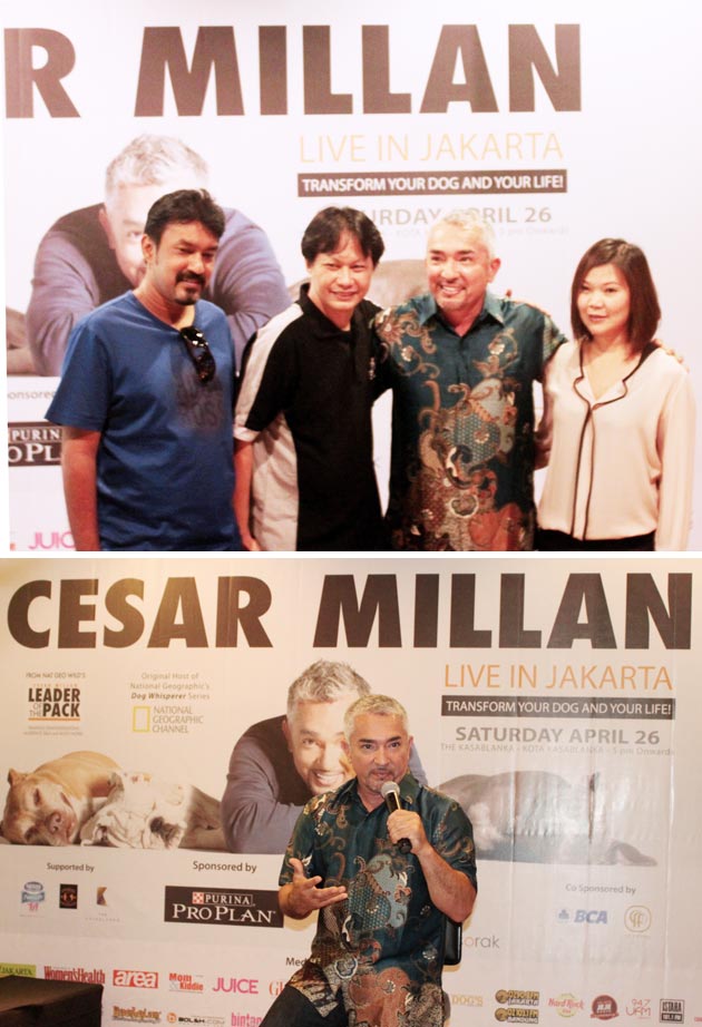 Cesar Milan Membius 2000 Penggemar Anjing Di Jakarta