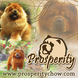 Prosperity Chow Kennel