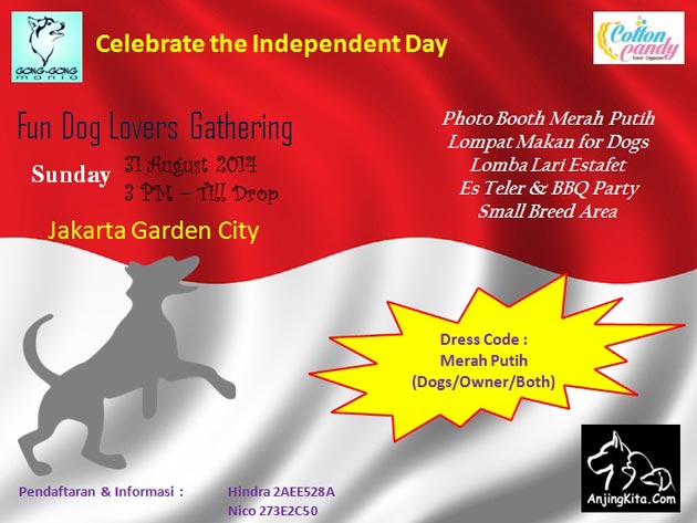 Fun Dog Lovers Gathering