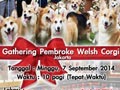 Corgi Lovers Gathering @Pet Station Pluit