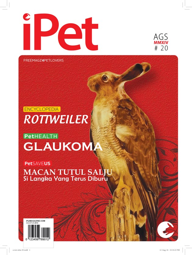 Indeks iPet Magazine Edisi 20