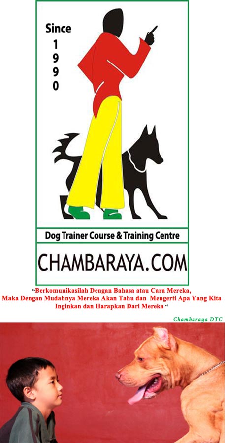 Chambaraya Dog Trainer Course & Dog Training Centre
