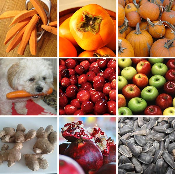 Sayur & Buah Pada Dog Food