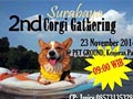 Surabaya 2nd Corgi Gathering