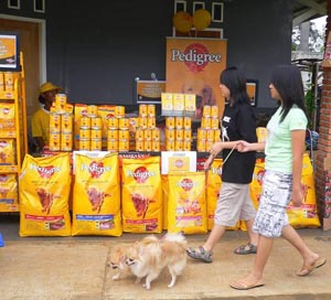 Acara Kumpul Pecinta Anjing Penuh Kesan