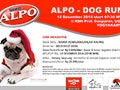 ALPO-Dog Run Desember 2014