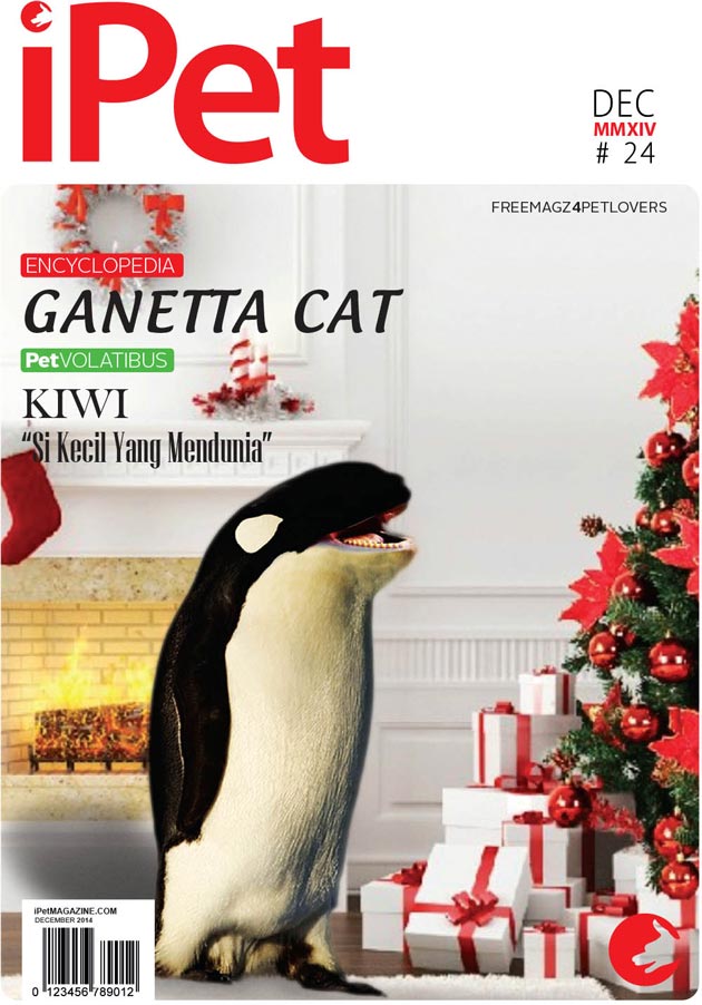 Indeks Edisi 24 iPet Magazine