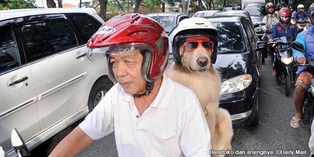 Anjing Bisa Dibonceng Naik Motor