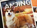 Buku Kumpulan Artikel Perawatan Anjing