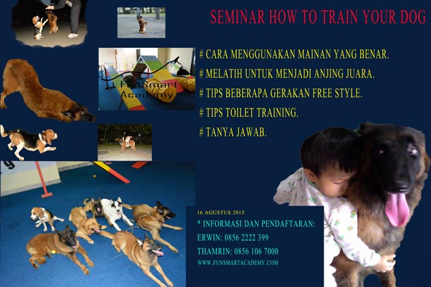 Seminar Cara Melatih Anjing