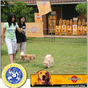 Rally Anjing 2007