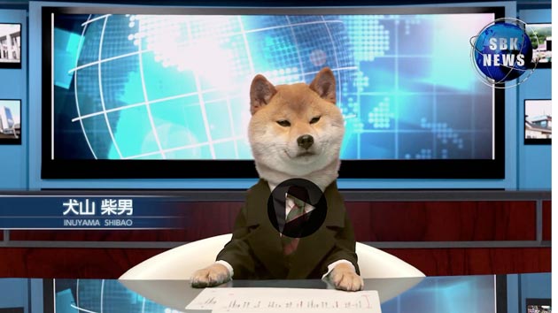 Shiba Inu Pembaca Berita