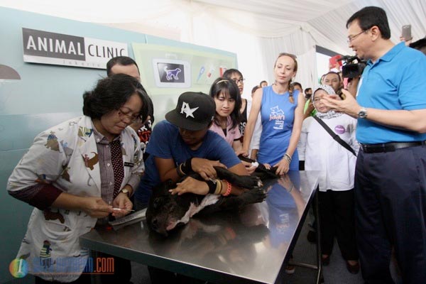 Ahok Akan Wajibkan Chip Untuk Hewan Peliharaan di DKI