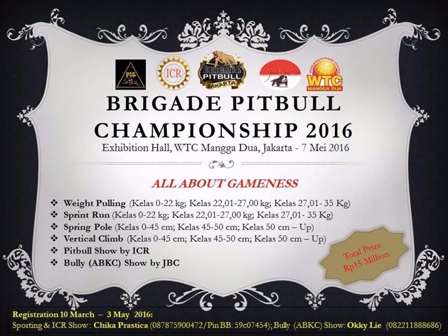 Brigade Pitbull Championship 2016