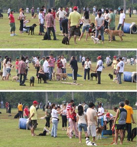 Makin Ramai Makin Seru