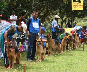 AGJ Indonesia Terbaik di Asia