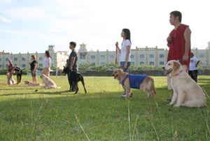 Regular Weekend Training K9 DTC