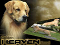 GoldenHeavenKennel.Com