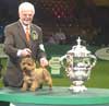 Hasil Pameran Crufts Dog Show